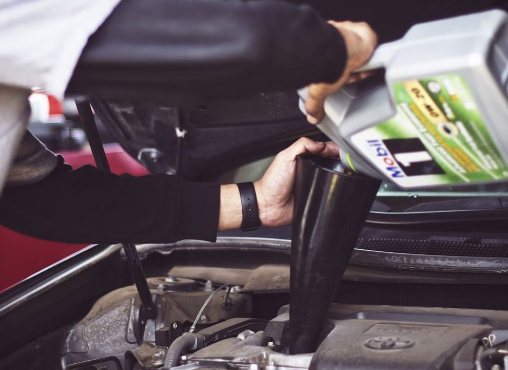 Urna pretium elit mauris cursus Curabitur at elit Vestibulum